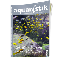 aquaristik 5/2024