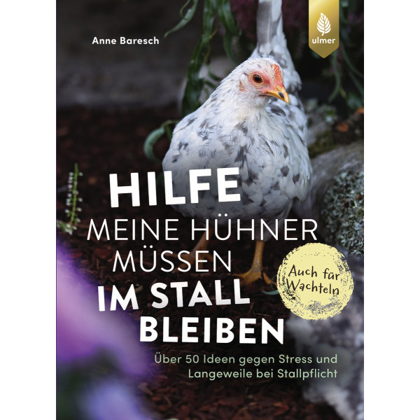 Hilfe, meine Hühner müssen im Stall bleiben
