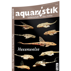 aquaristik 6/2024