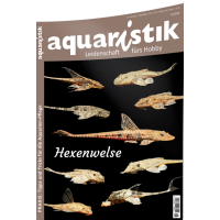aquaristik 6/2024