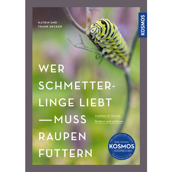 Wer Schmetterlinge liebt muss Raupen füttern