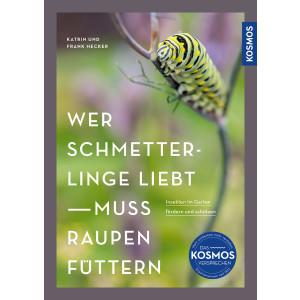Wer Schmetterlinge liebt muss Raupen füttern