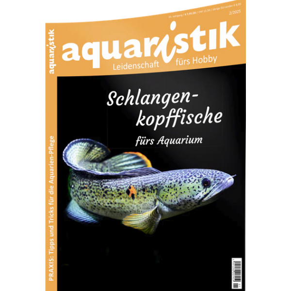aquaristik 2/2025