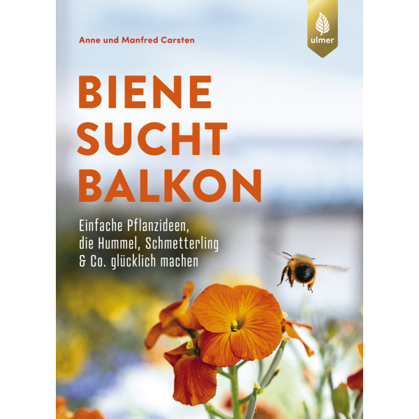 Biene sucht Balkon