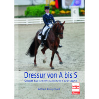 Dressur von A bis S