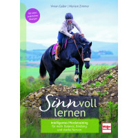 SINNvoll lernen