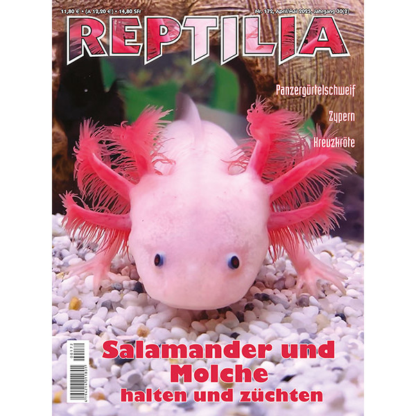 Reptilia 172 - Salamander und Molche (April/Mai 2025)