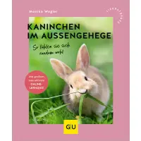 Kaninchen im Außengehege