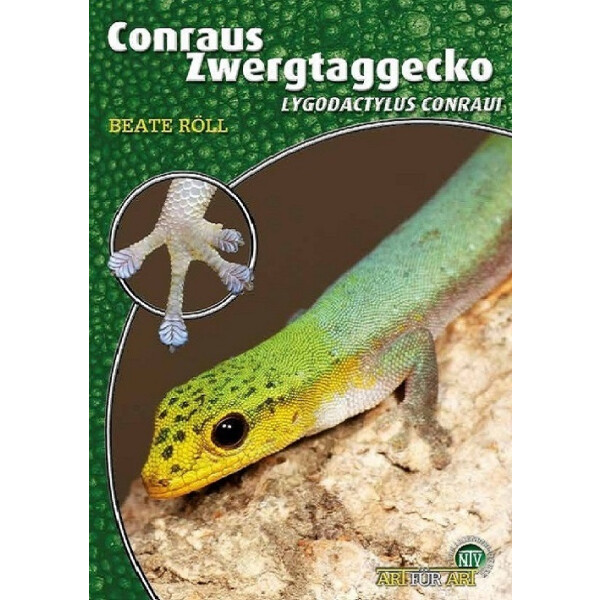 Conraus Zwergtaggecko