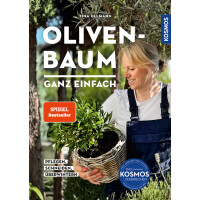 Olivenbaum ganz einfach