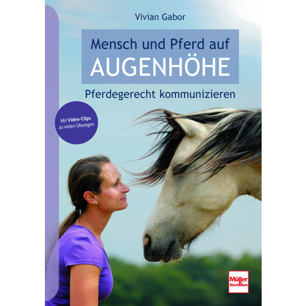 Mensch und Pferd auf Augenhöhe
