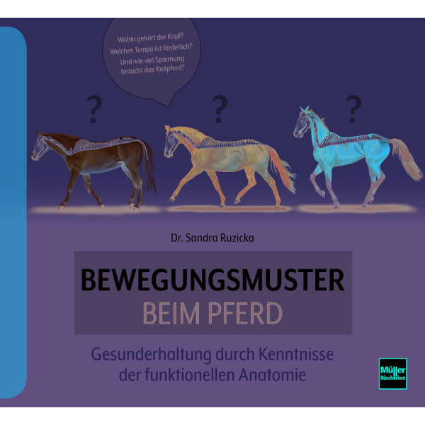 Bewegungsmuster beim Pferd