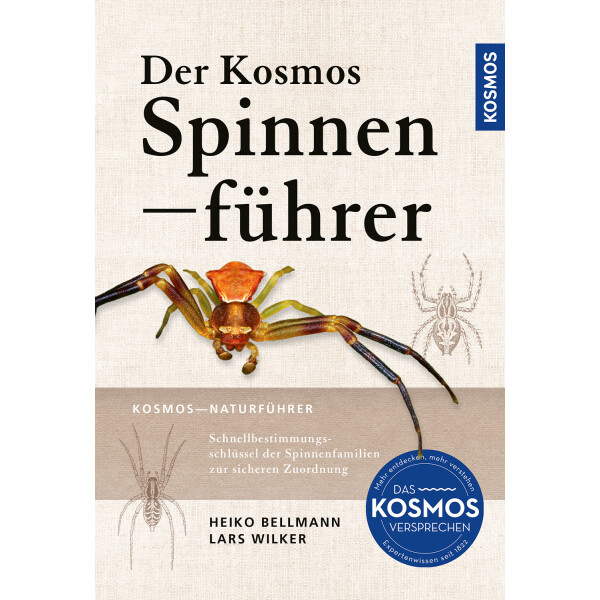 Der Kosmos Spinnenführer /400 Arten Europas