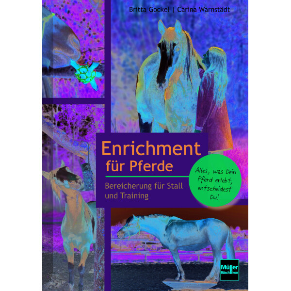 Enrichment für Pferde