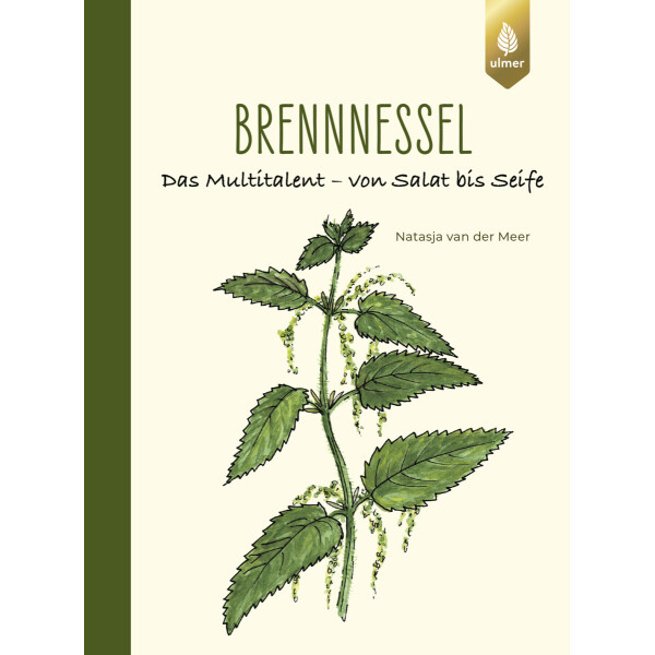 Brennessel