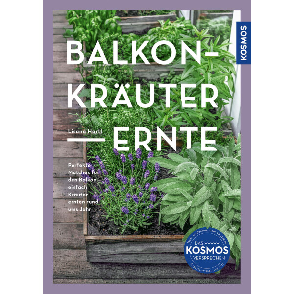Balkon-Kräuter-Ernte
