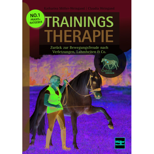Trainingstherapie