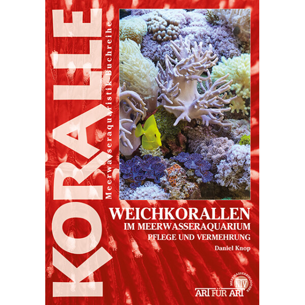 Weichkorallen im Meerwasseraquarium (AfA box