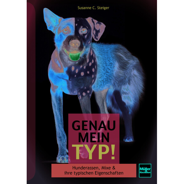 Genau mein Typ! box