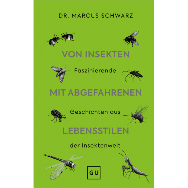 Von Insekten mit abgefahrenen Lebensstil box