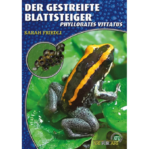 Der Gestreifte Blattsteiger (AfA)