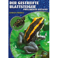 Der Gestreifte Blattsteiger (AfA)