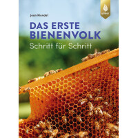 Das erste Bienenvolk – Schritt für Schritt