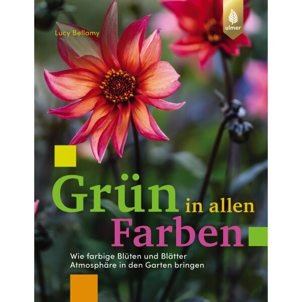 Grün in allen Farben box
