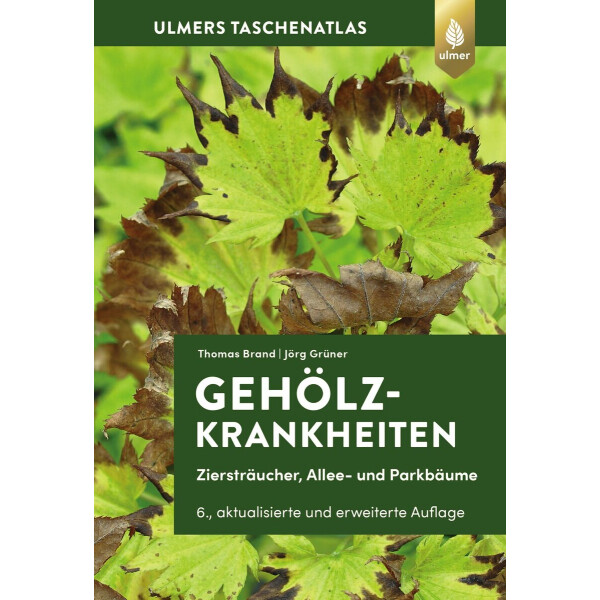 Gehölzkrankheiten box