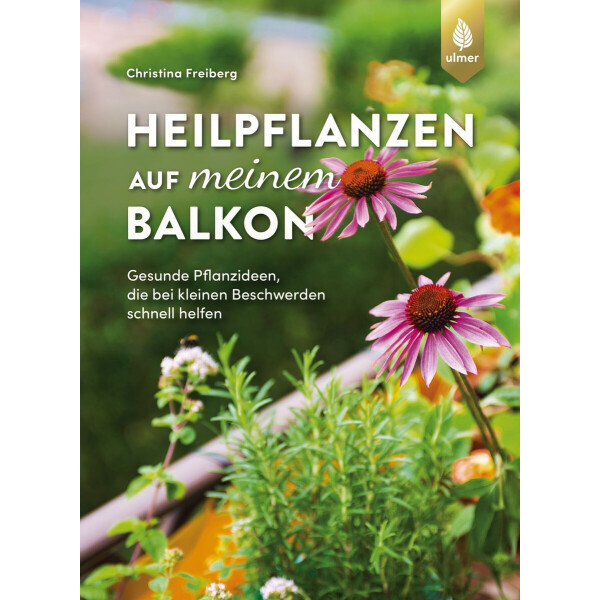 Heilpflanzen auf meinem Balkon box