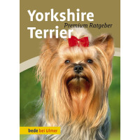 Yorkshire Terrier Premium Ratgeber