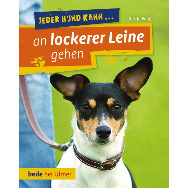 Jeder Hund kann an lockerer Leine gehen