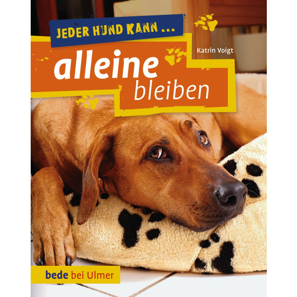 Jeder Hund kann alleine bleiben
