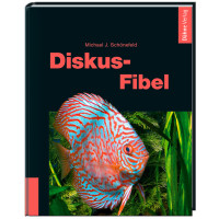 Diskus-Fibel