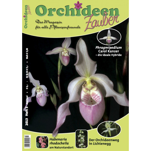 Orchideen Zauber 3 (Mai/Juni 2013)