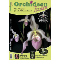 Orchideen Zauber 3 (Mai/Juni 2013)