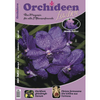 Orchideen Zauber 2 (März/April 2013)