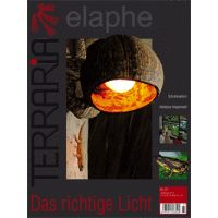 Terraria 37 - Das richtige Licht (September/Oktober 2012)