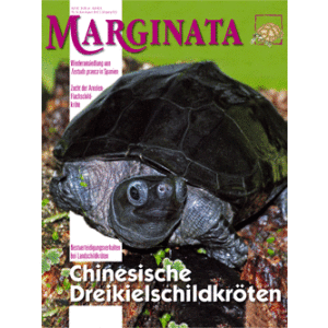 Marginata 35 - Chinesische Dreikielschildkröten...
