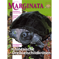 Marginata 35 - Chinesische Dreikielschildkröten (Sept/Okt/Nov 2012)