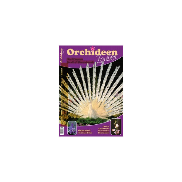 Orchideen Zauber 5 (September/Oktober 2015)