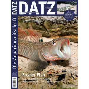 DATZ 2012 - 06 (Juni)
