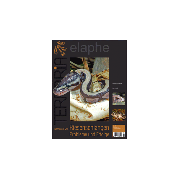 Terraria 36 - Riesenschlangen (Juli/August 2012)
