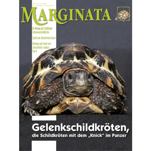 Marginata 34 - Gelenkschildkröten (Juni/Juli/August 2012)