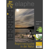 Terraria 35 - Reptiliensuche (Mai/Juni 2012)
