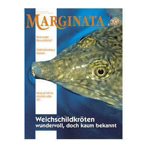 Marginata 33 - Weichschildkröten...