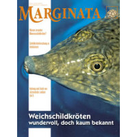 Marginata 33 - Weichschildkröten (März/April/Mai 2012)