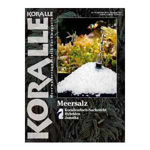 KORALLE 74 - Meersalz (April/Mai 2012)