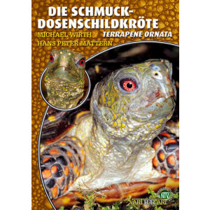 Die Schmuck-Dosenschildkröte