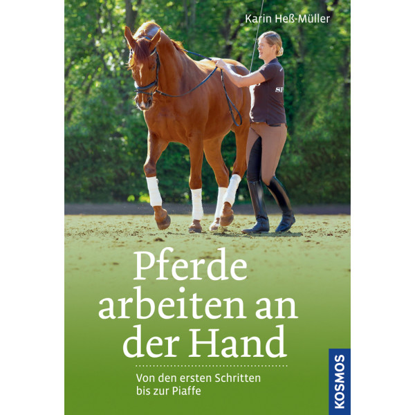 Pferde arbeiten an der Hand